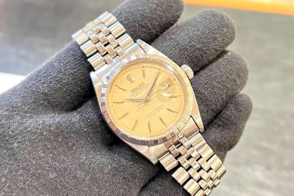 アルファではなくドルフィンです。